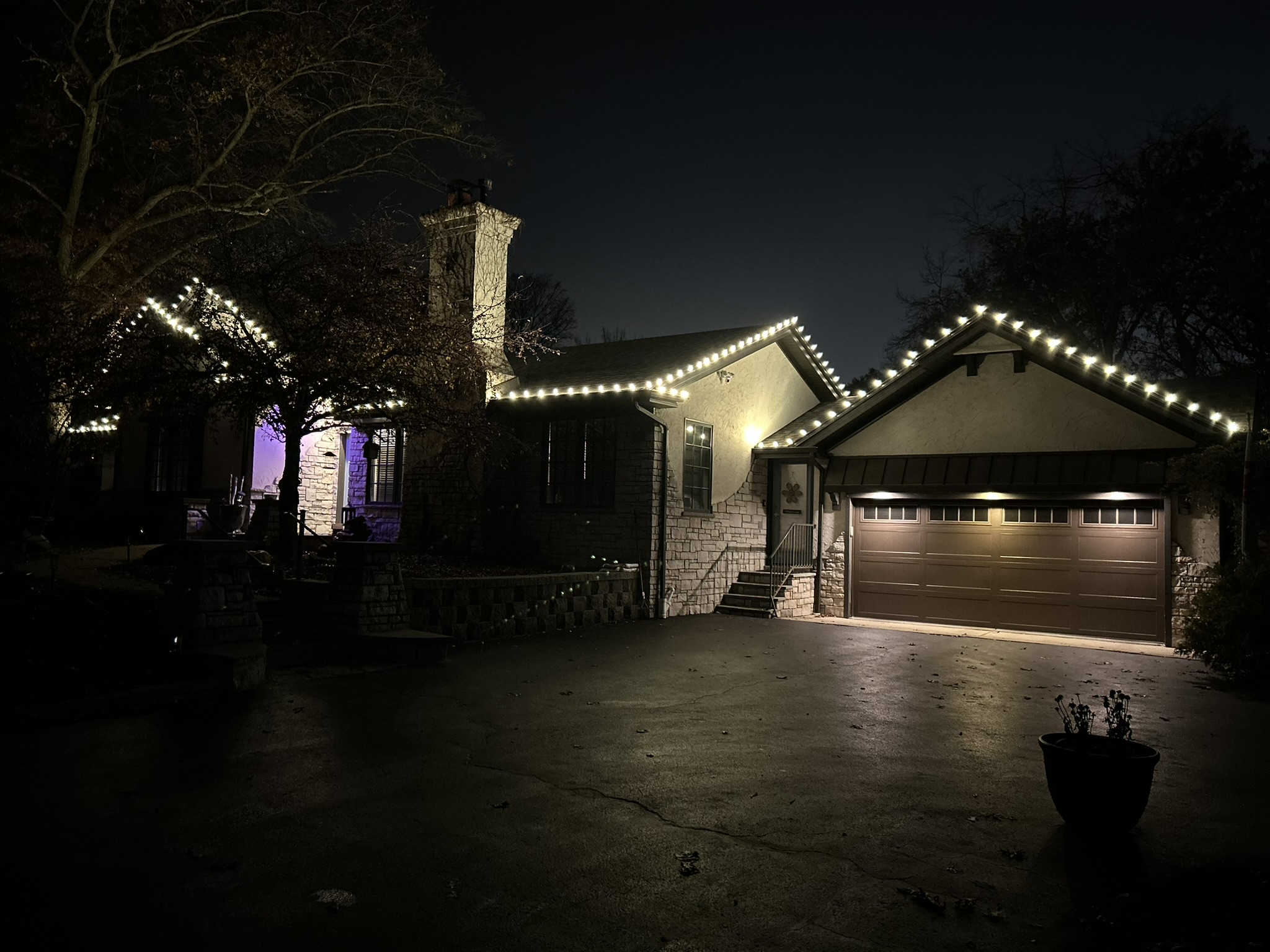 Tree and bush Christmas lighting